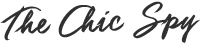 The-Chic-Spy-Script-Dark